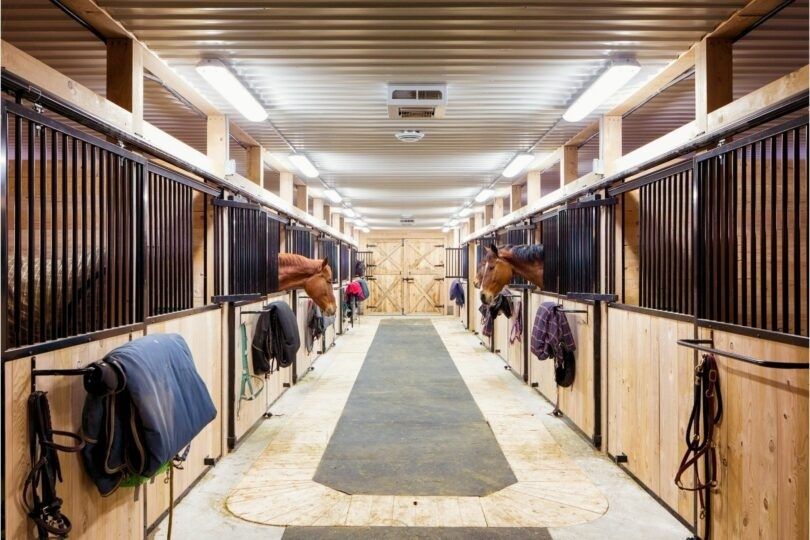 Ljust stall med hästar i boxar längs en ren och välbelyst gång